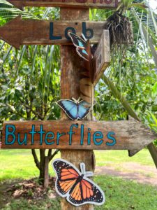 butterfly garden costa rica